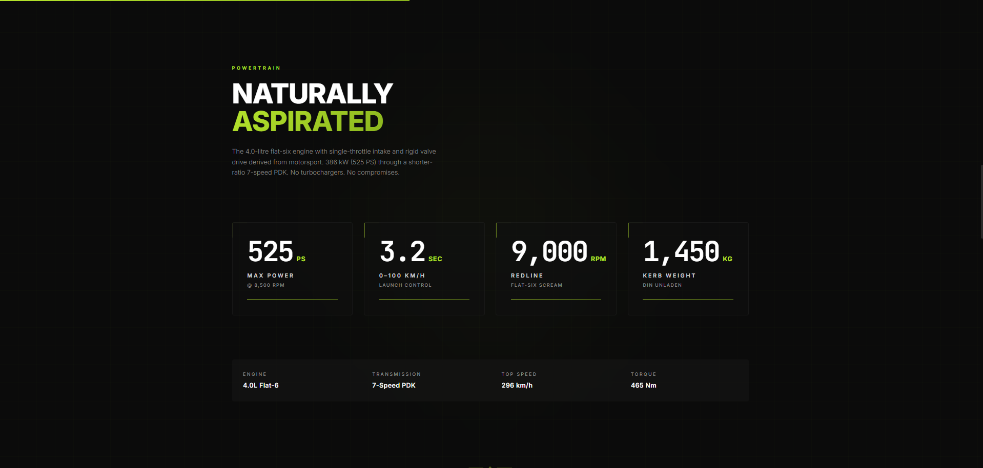 Porsche 911 GT3 RS Experience screenshot 3